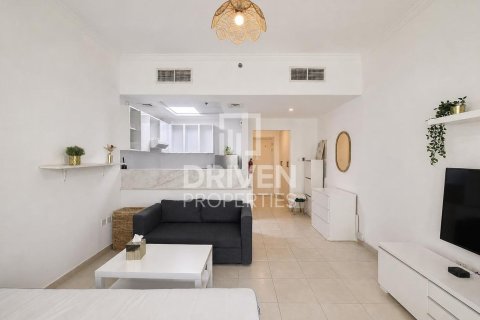 Appartement de Studio à Downtown Dubai (Downtown Burj Dubai), UAE No. 200467 9