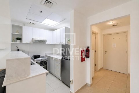 Appartement de Studio à Downtown Dubai (Downtown Burj Dubai), UAE No. 200467 14