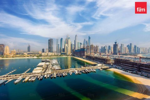 3 bedrooms Apartment in Dubai Harbour, UAE No. 168125 12