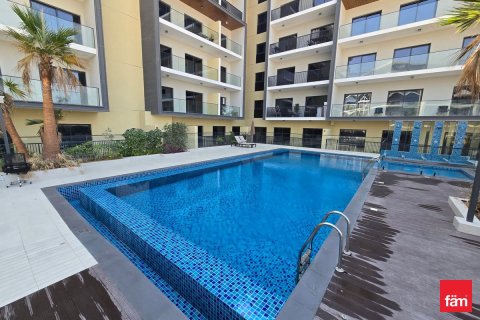 Квартира с 1 спальней №127253 13