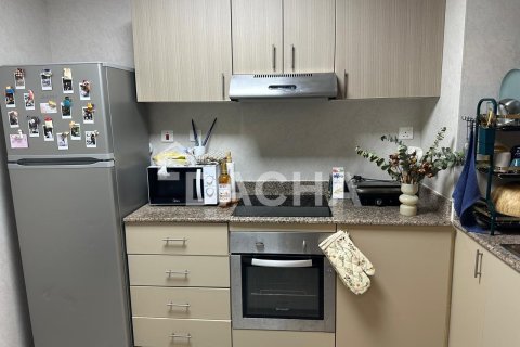 1 غرف نوم شقة في The Torch, الإمارات العربية المتحدة رقم 163499 8
