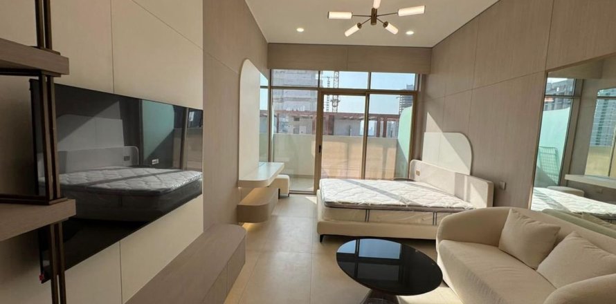 Studio Apartment in Dubai, UAE No. 169694