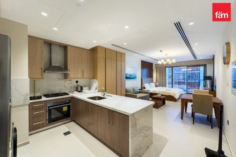 Studio Apartment in Downtown Dubai (Downtown Burj Dubai), UAE No. 145427