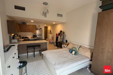 Studio Apartment in Dubai, UAE No. 169934