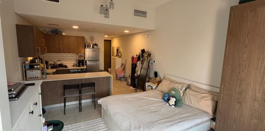 Studio Apartment in Dubai, UAE No. 169934