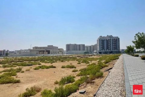 Land de 1372.8m² à Dubai, UAE No. 140164 5