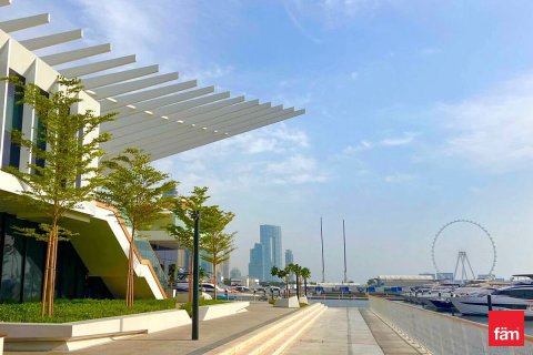 3 bedrooms Apartment in Dubai Harbour, UAE No. 142446 13