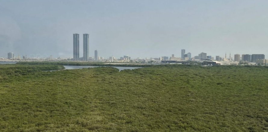 3 bedrooms Apartment in Khuzam, UAE No. 183994