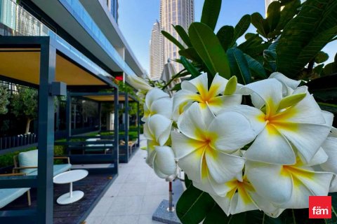 2 bedrooms Apartment  No. 115889 21