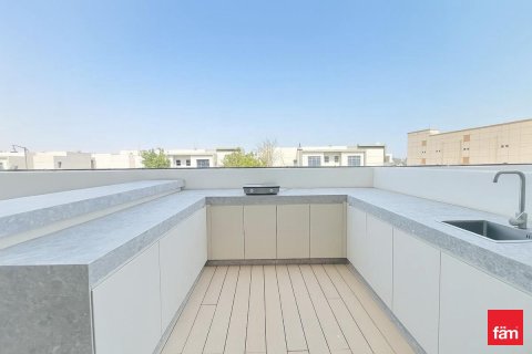 1 bedroom Apartment  No. 115885 3