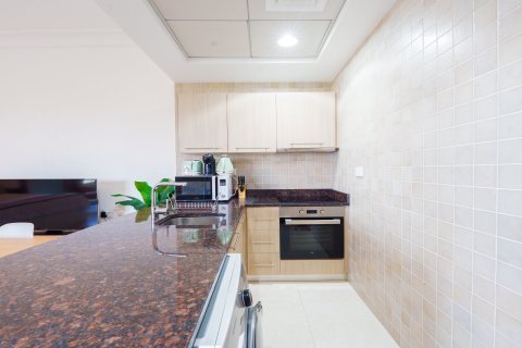 Appartement de Studio à Yas Island, UAE No. 207561 8