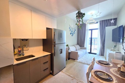 1 bedroom Apartment in Rukan, UAE No. 198505