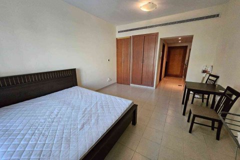 Studio Apartment in Dubai, UAE No. 171883