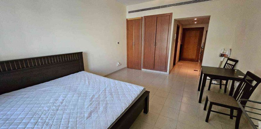 Studio Apartment in Dubai, UAE No. 171883