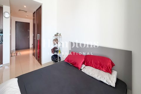 Studio Apartment in Downtown Dubai (Downtown Burj Dubai), UAE No. 147981 14