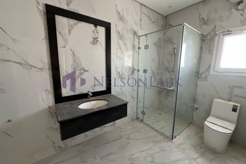 7 bedrooms Villa in Umm Salal Mohammed, Qatar No. 57849 6