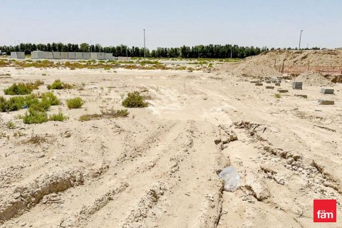 Land de 930.2m² en Dubai, UAE No. 135794 4