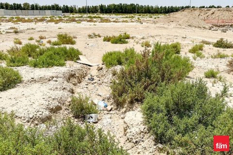 Land de 930.2m² en Dubai, UAE No. 135794 10