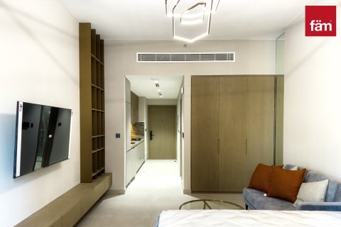 Studio Apartment in Dubai, UAE No. 169282