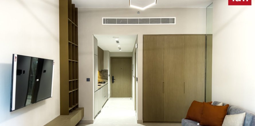 Studio Apartment in Dubai, UAE No. 169282