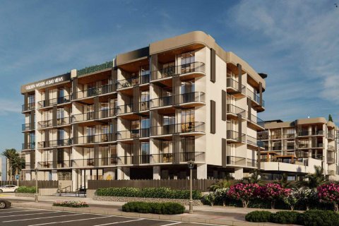 Albab Views  No. 116428