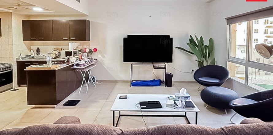 Studio Apartment in Dubai, UAE No. 169556