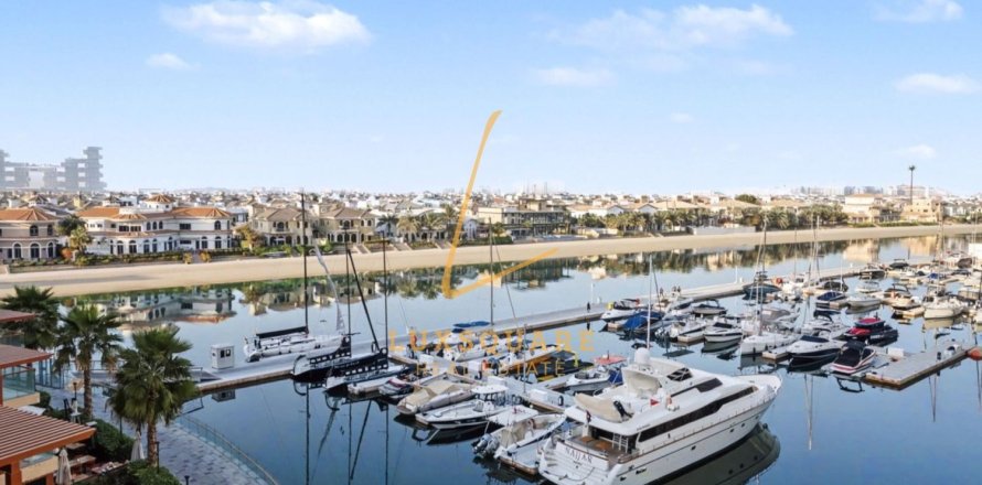 Studio Apartment in Palm Views, UAE No. 156390