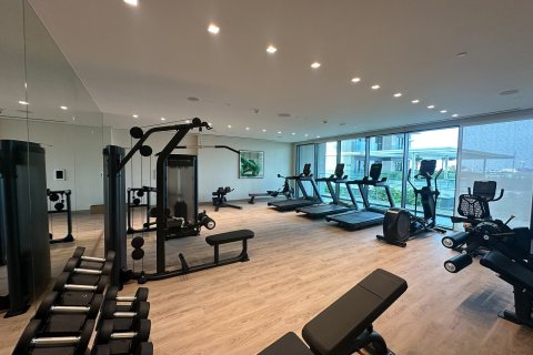 2 bedrooms Apartment in Mina Rashid, UAE No. 152570 11