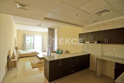 Appartement de Studio à Al Warsan, UAE No. 172177 11