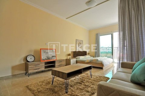 Appartement de Studio à Al Warsan, UAE No. 172177 8