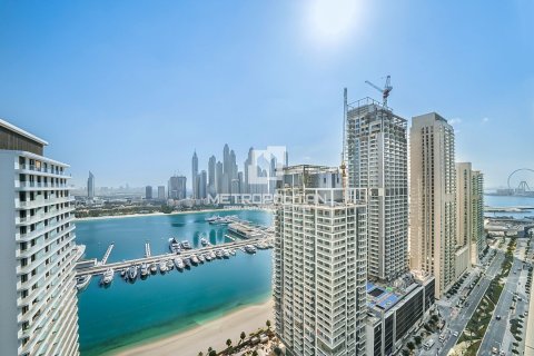 2 bedrooms Apartment in EMAAR Beachfront, UAE No. 77665 6