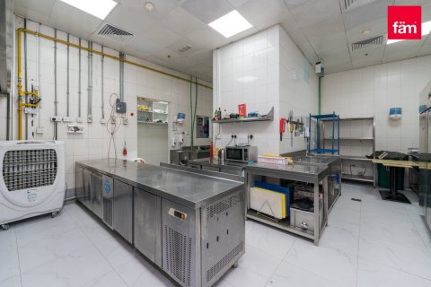 224.1مربع، مصنع رقم 123513 15