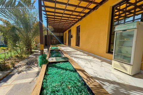 Недвижимость с 8 спальнями  №124518 10