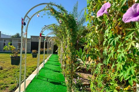 Недвижимость с 8 спальнями  №124518 8