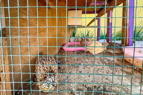 Недвижимость с 8 спальнями  №124518 12