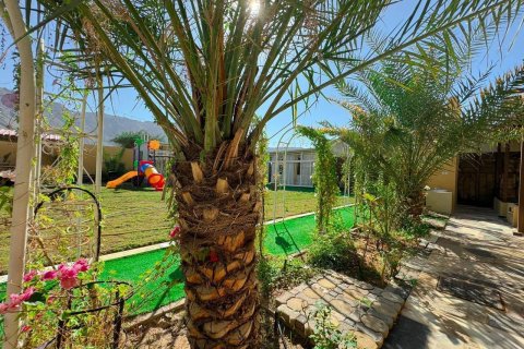 Недвижимость с 8 спальнями  №124518 27