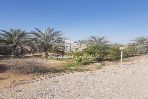 Недвижимость с 5 спальнями  №124514 5