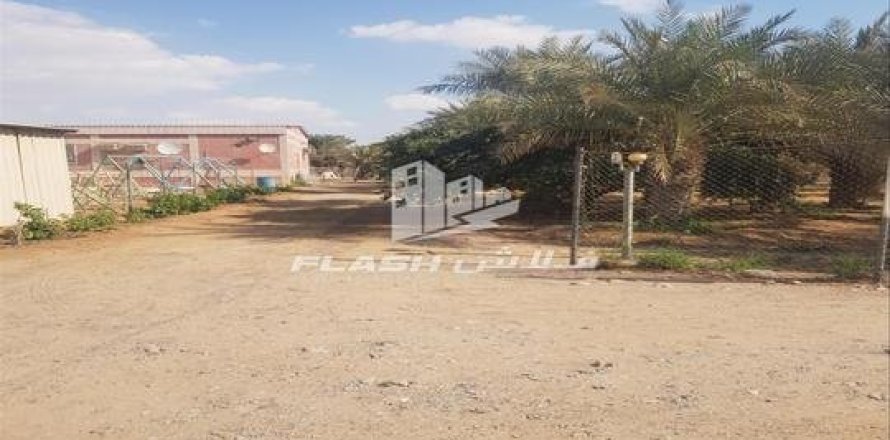 Недвижимость с 5 спальнями  №124514