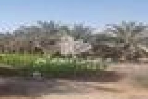 Недвижимость с 5 спальнями  №124514 4