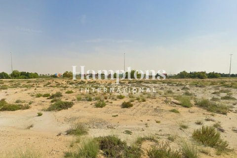 606.19207500m² Land in Jebel Ali Industrial 1, UAE No. 164996 3