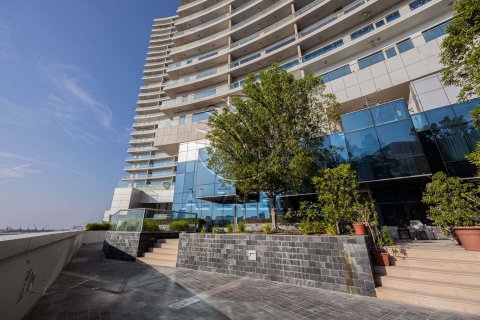 1 room Shop in Shams Abu Dhabi, UAE No. 168013