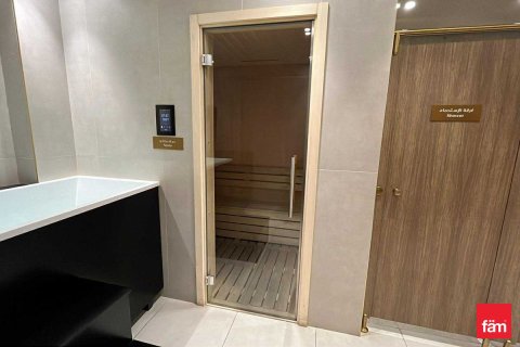 1 bedroom Apartment  No. 117064 21