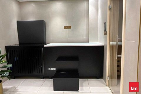 1 bedroom Apartment  No. 117064 23