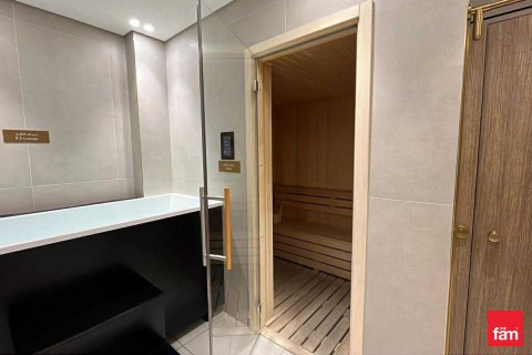 1 bedroom Apartment  No. 117064 25