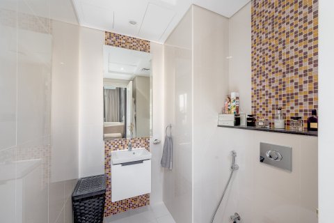 Hotel Apartamento de 1 dormitorio en Downtown Dubai (Downtown Burj Dubai), UAE No. 208664 8