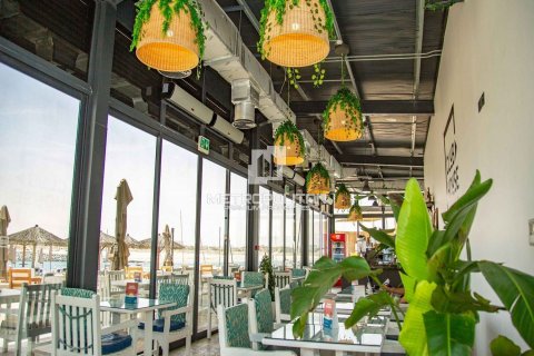 1 bedroom Apartment No. 129163 11