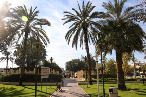 1 غرف نوم شقة  رقم 127865 14