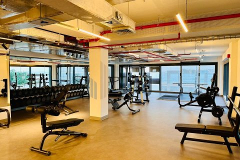 1 bedroom Apartment in Al Reem Island, UAE No. 102055 18