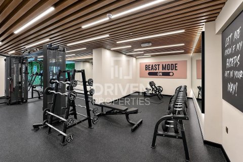 Appartement de Studio à Downtown Dubai (Downtown Burj Dubai), UAE No. 207066 21
