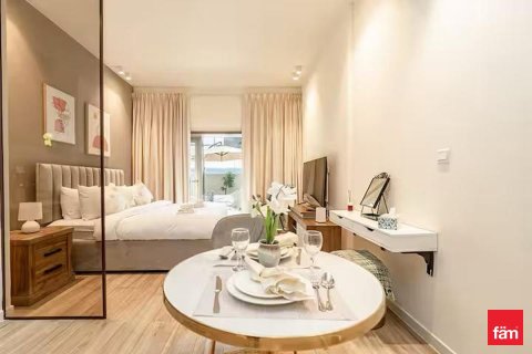 Studio Apartment in Dubai, UAE No. 169961